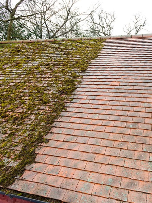 Seasonal Roof Cleaning Checklist for Homeowners